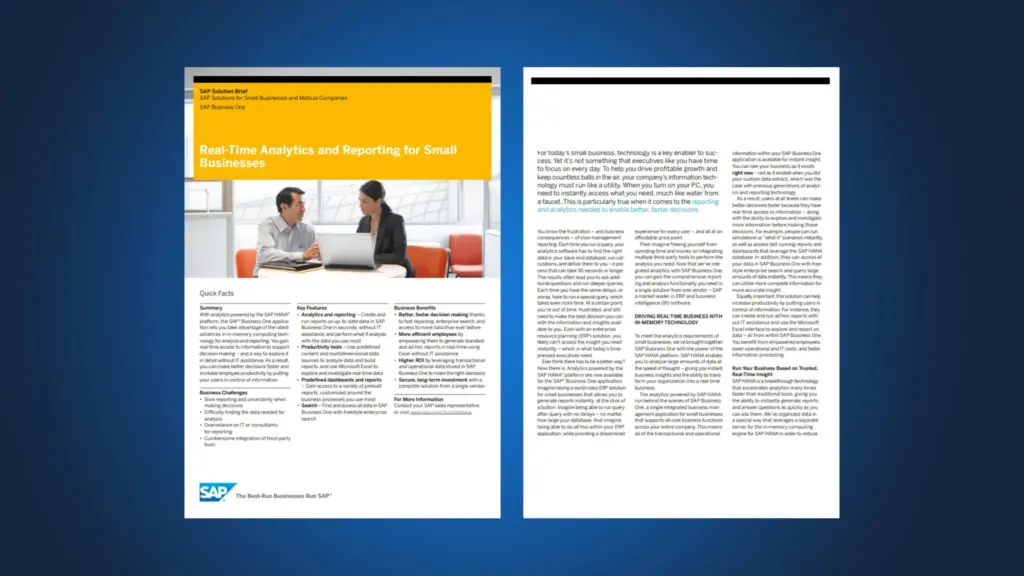 Real-Time Analytics and Reporting for Small Businesses