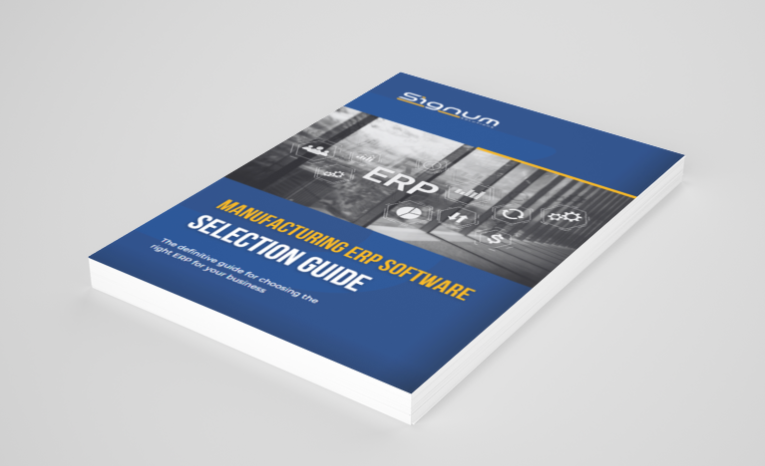 erp selection guide mock up